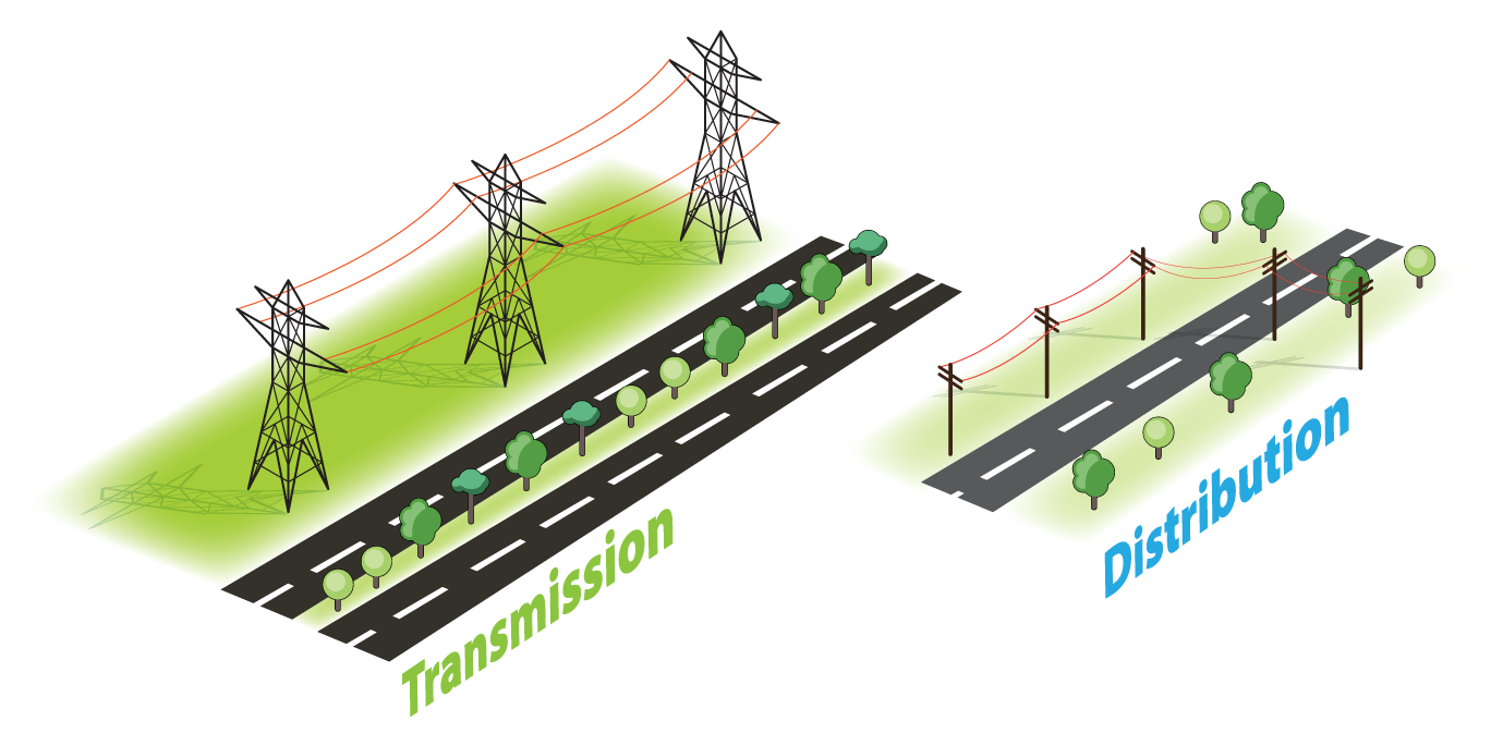 Transmission vs. Distribution