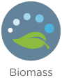 Biomass